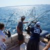 Wild Thing Sportfishing Charters gift card