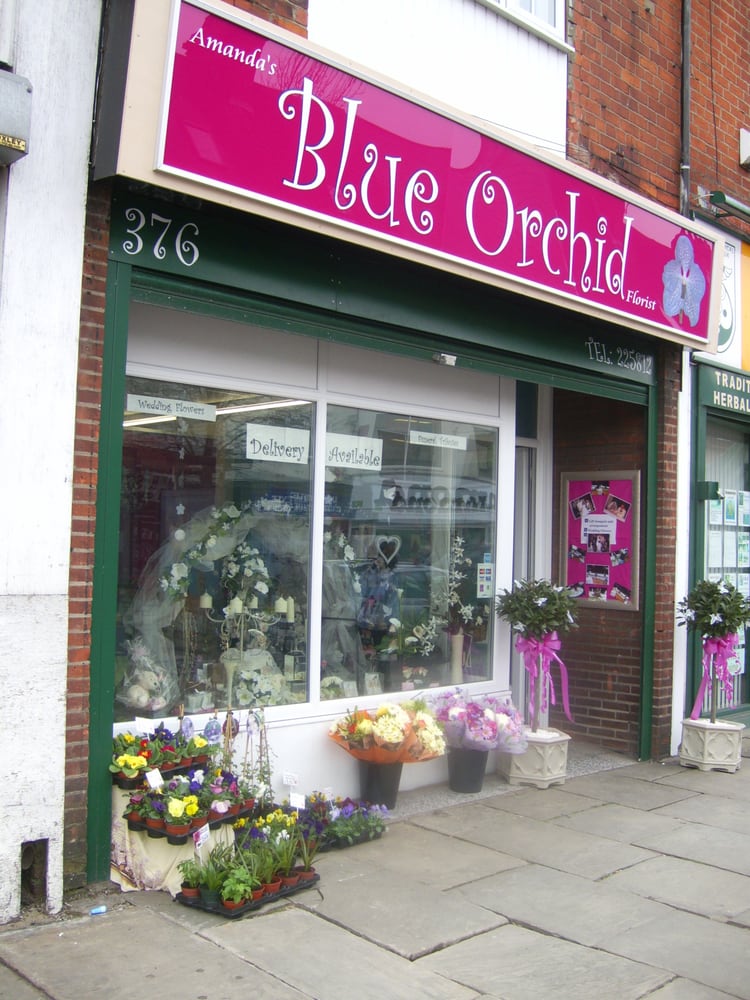 AMANDA’S BLUE ORCHID FLORIST / COUTURE FASCINATORS Updated August 2024 376 Hessle Road, Hull