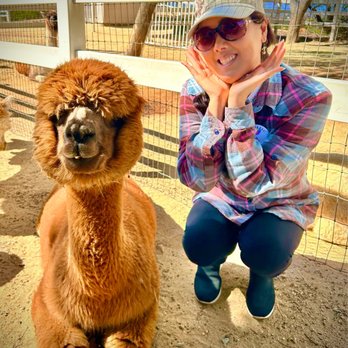 The Alpaca Hacienda - Attraction Farms Near Me - Temecula, California