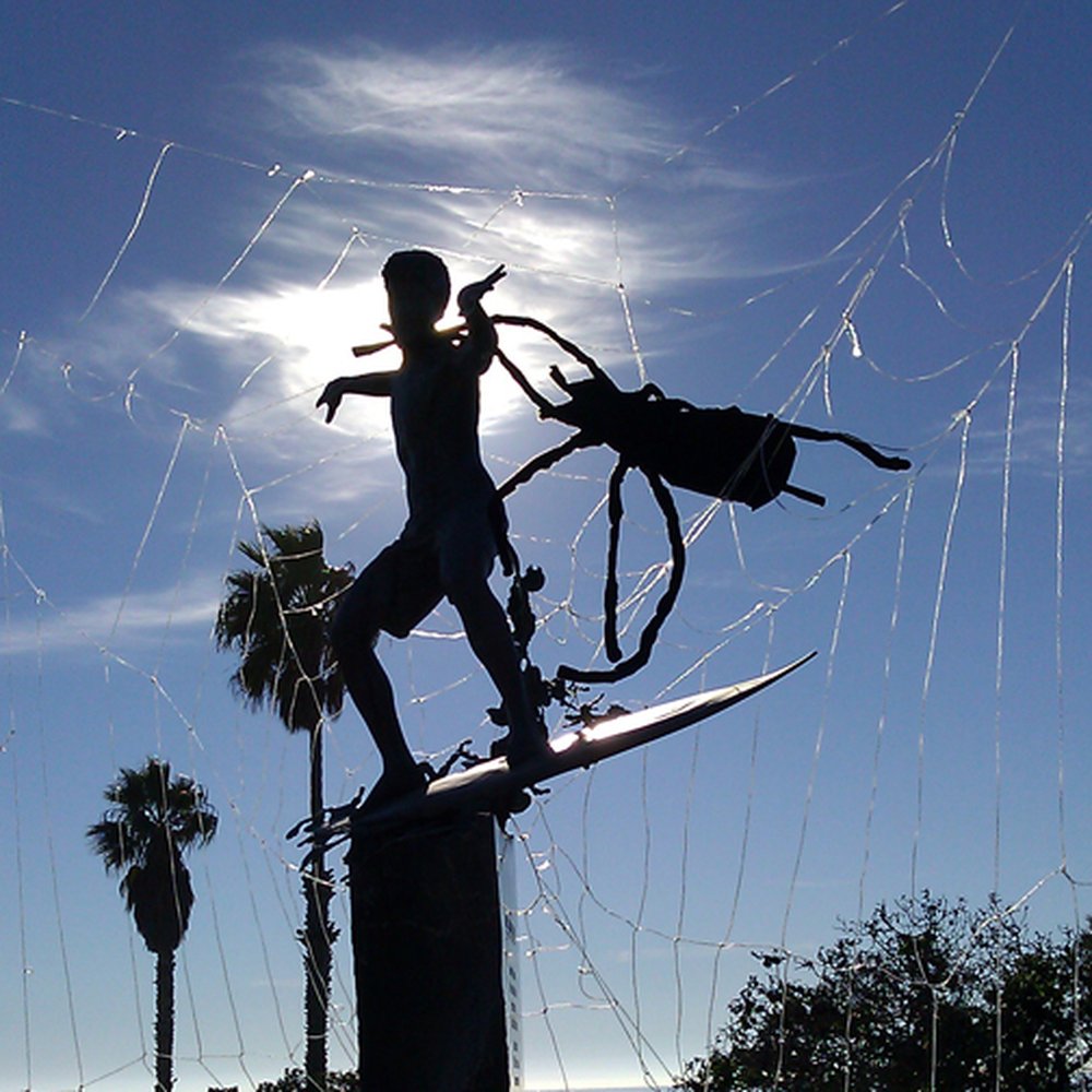The Cardiff Kook - Surfing Near Me - Encinitas, California The Cardiff Kook - Surfing Near Me - Encinitas, California
