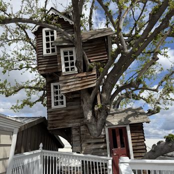 Bravo Farms Traver - Treehouse - Cheese Shops Near Me - Traver, California