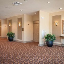Hilton Garden Inn Pensacola Airport - Medical Center - Guest room
