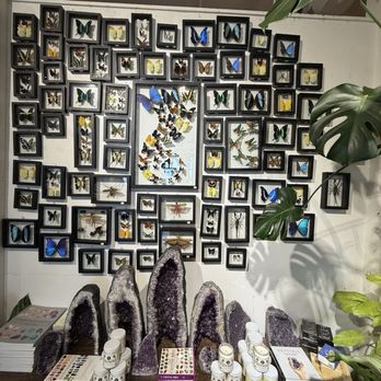 Seed To Stem - Antiques Near Me - Worcester, Massachusetts