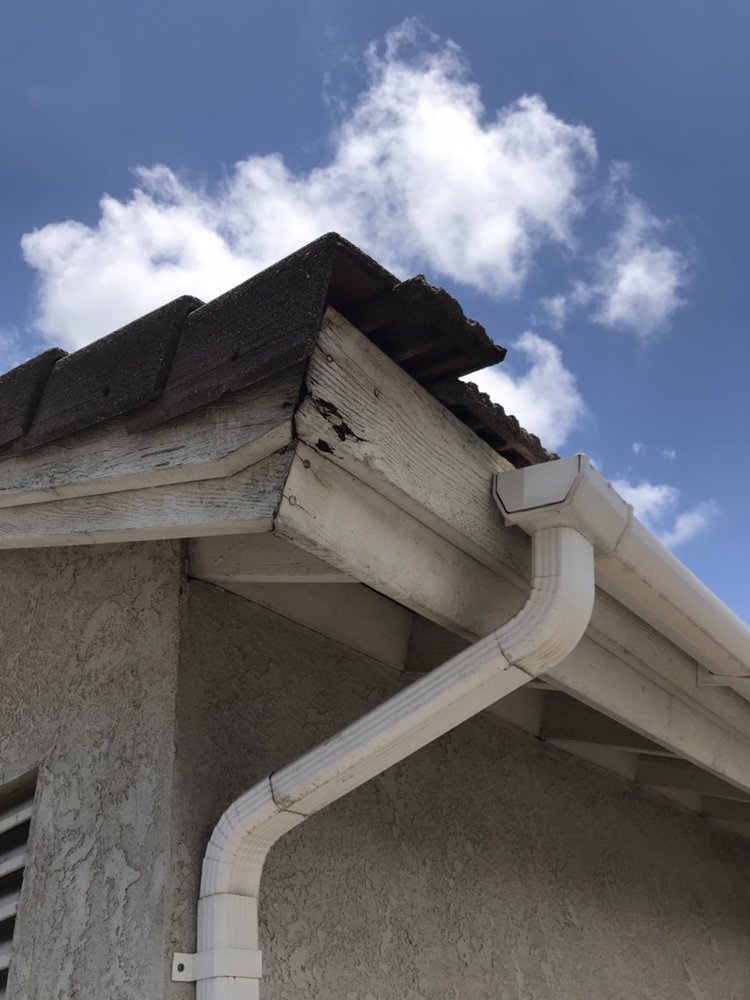 ALTERNATIVE TERMITE & PEST Updated July 2024 Request a Quote 10