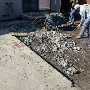 The Elevated Group - Prep work - Tree Services Near Me - Vallejo, California The Elevated Group - Prep work - Tree Services Near Me - Vallejo, California
