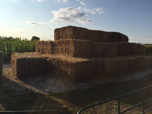 Coleman's Farm - Saline by null