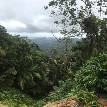 El Yunque Rainforest - View from Yokahu Tower - Hiking Near Me - Luquillo, Puerto Rico El Yunque Rainforest - View from Yokahu Tower - Hiking Near Me - Luquillo, Puerto Rico