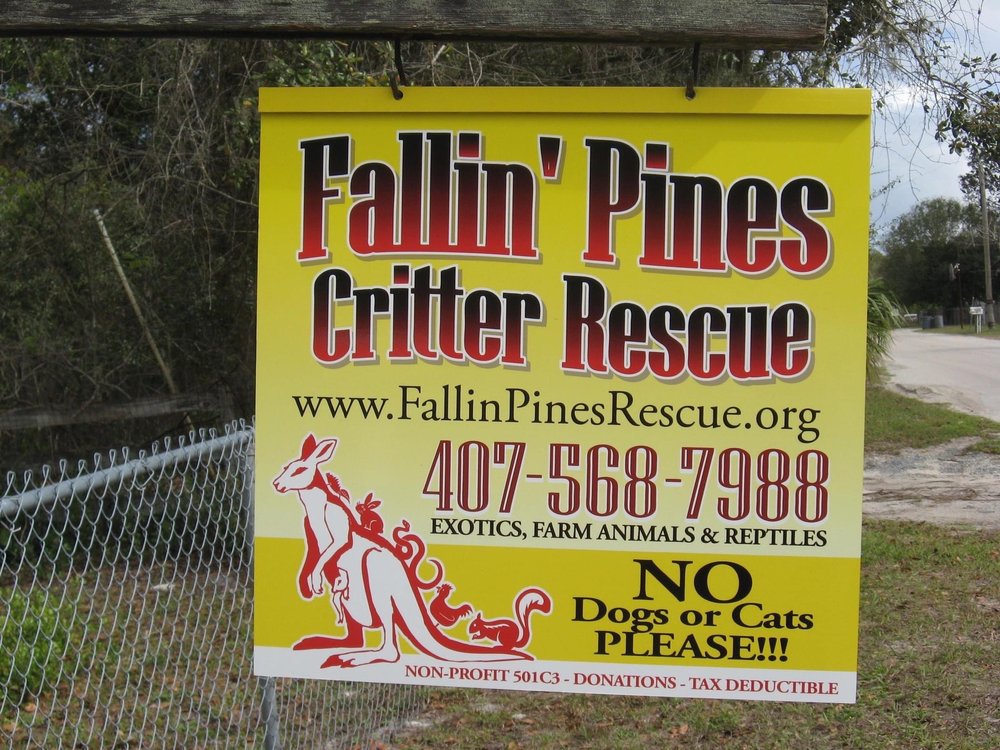 Fallin Pines Critter Rescue Image