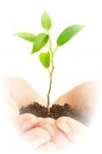 Jacqueline Orlando, Ph.D - grief counselor in Gainesville, FL