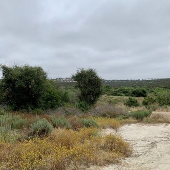 Calavera Lake - Hiking Near Me - Carlsbad, California