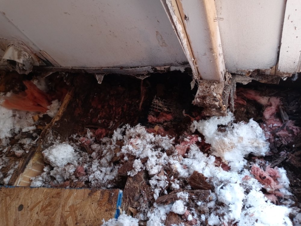 Slide of Carico Paint & Remodel