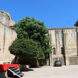 Cloître Saint Trophime