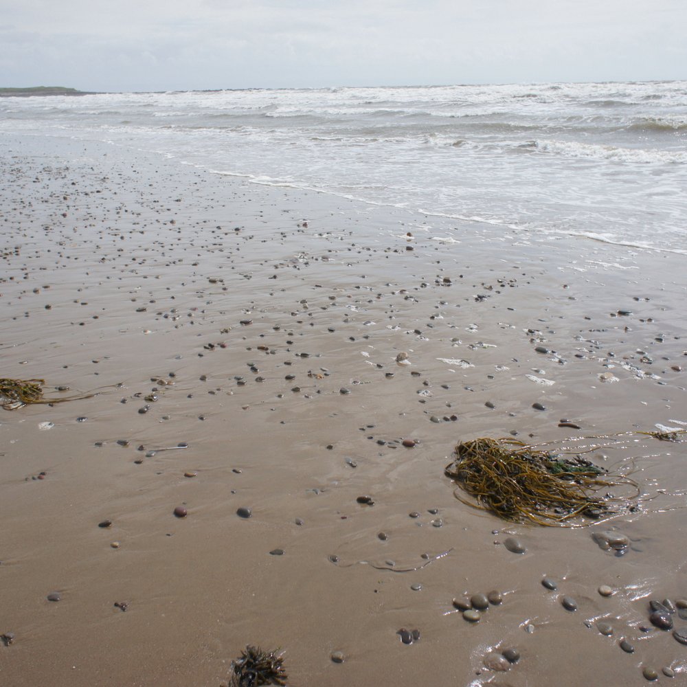 Sker Beach - Beaches Near Me - Bridgend, BGE