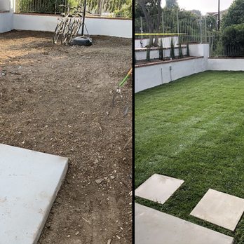 Forever Green Tree Services - Tree Services Near Me Forever Green Tree Services - Tree Services Near Me