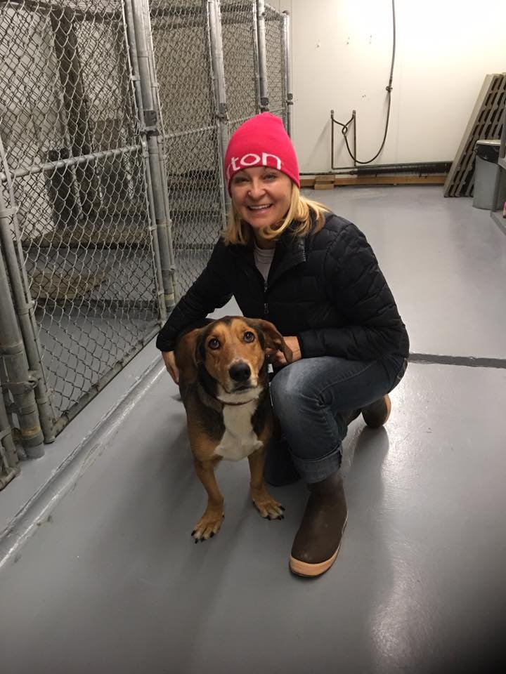 SOUTHPAW BOARDING KENNELS Updated October 2024 10 Photos 11801