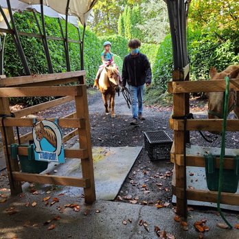 Remlinger Farms - Pony rides - Pumpkin Patches Near Me - Carnation, Washington