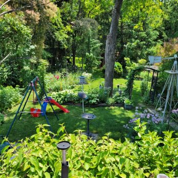 Rich Lawn Maintenance - No garden to big to take on - Lawn Services Near Me Rich Lawn Maintenance - No garden to big to take on - Lawn Services Near Me