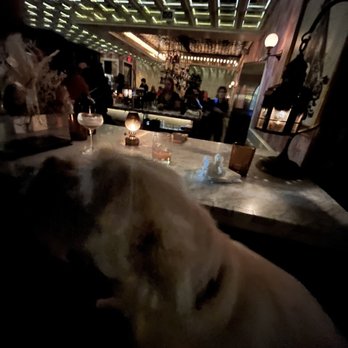 Kindred - Dog friendly! - Cocktail Bars Near Me - San Diego, California Kindred - Dog friendly! - Cocktail Bars Near Me - San Diego, California