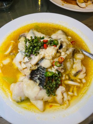 Bamboo House by null