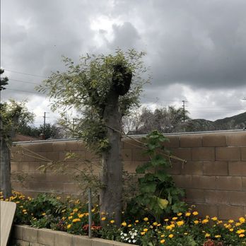 We Save Bees - Bee hive - Pest Control Near Me - San Diego, California
