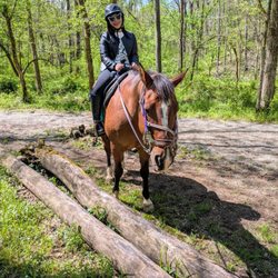 Red Fern Riding Center at Shelby Trails Park