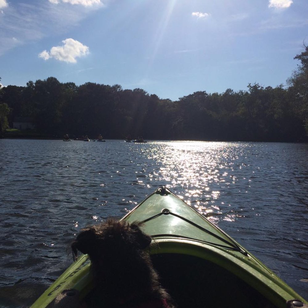 Knee Deep Adventures - Even my dog loves to paddle on the Tar! - Paddleboarding Near Me Knee Deep Adventures - Even my dog loves to paddle on the Tar! - Paddleboarding Near Me