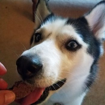 Maxx's Munchery - Zephyr, so happy! - Pet Stores Near Me