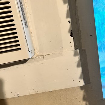 Commercial Northwest Property Management - Infestation of bugs - Property Management Near Me - Boise, Idaho
