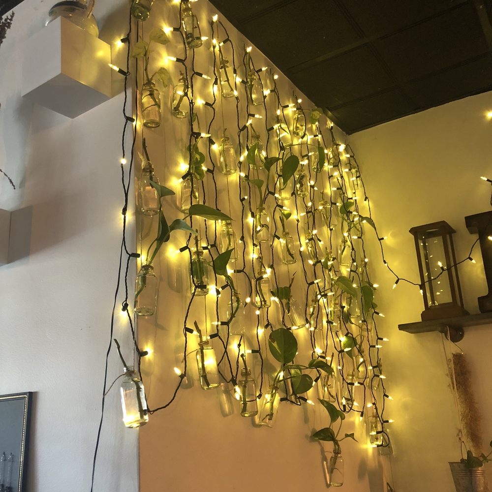 First Sip Cafe - Plants - Coffee & Tea Near Me - Chicago, Illinois First Sip Cafe - Plants - Coffee & Tea Near Me - Chicago, Illinois