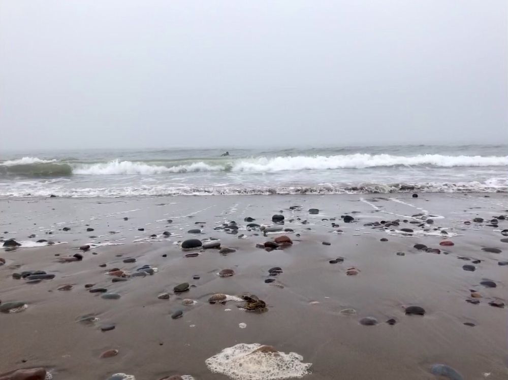 Lawrencetown Beach Provincial Park