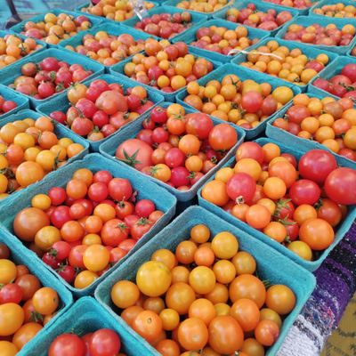 Downtown Growers' Market by null