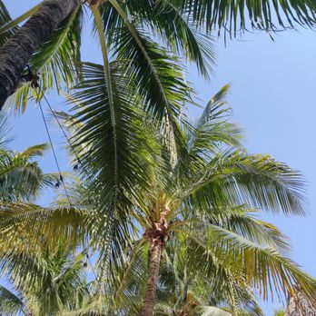 Bungalow By The Sea - New American Near Me - Miami Beach, Florida