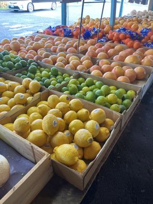 Sonoma Valley Fruit Basket by null