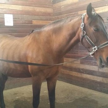Stanford Red Barn - Horse Boarding Near Me - Stanford, California