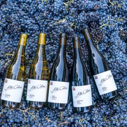 Alta Colina - Mix of Alta Colina wines