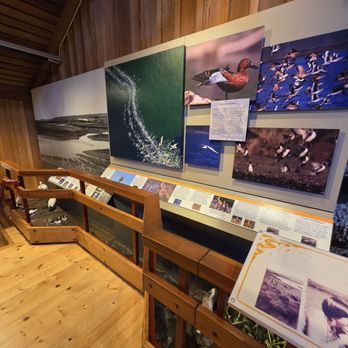 Bear Valley Visitor Center - Visitor Centers Near Me - Point Reyes Station, California