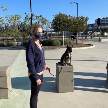 Urban Dog House - Pet Training Near Me - Milpitas, California Urban Dog House - Pet Training Near Me - Milpitas, California