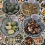 Photo of Moonstone Metaphysical