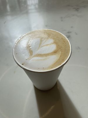 Little Owl Coffee - Tremont by null