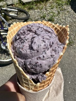 Wild Cow Creamery by null