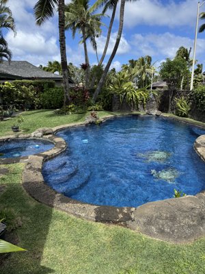 TOP 10 BEST Pool Deck Repair in Honolulu, HI - Updated 2026 - Yelp