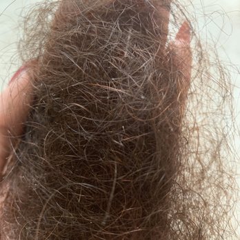 Bubbles - Daily hair loss for 2 months from chemical burning - Hair Salons Near Me - Fairfax, Virginia