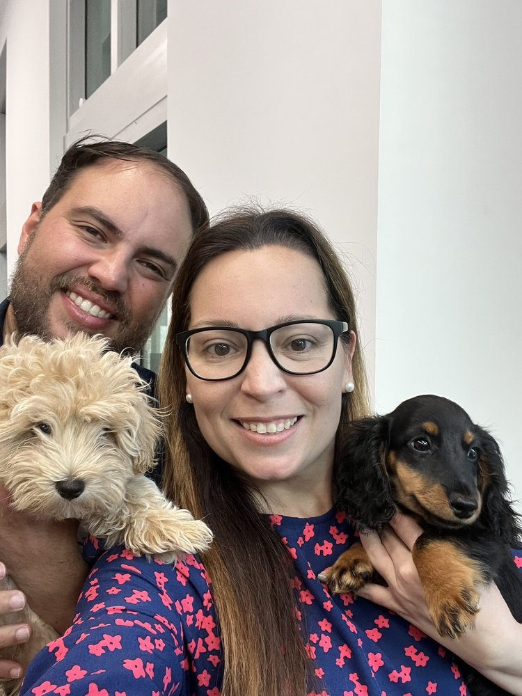 Puppy City Image