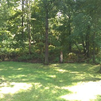 Mayorga Landscaping - Back yard today! - Landscaping Near Me
