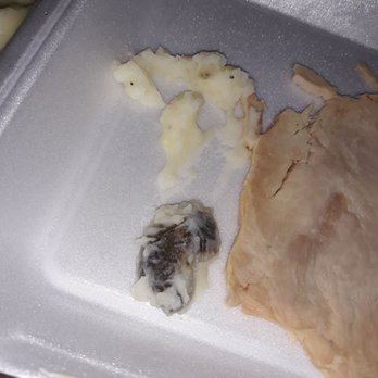 Luby's - Found this in the mashed potatoes, absolutely disgusting. - American Near Me - Dallas, Texas Luby's - Found this in the mashed potatoes, absolutely disgusting. - American Near Me - Dallas, Texas