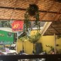 Jo's Chicken Inato