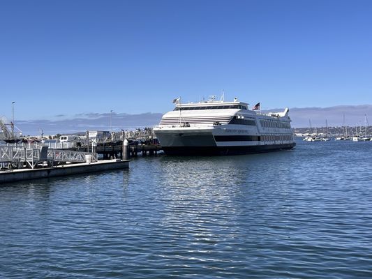 City Cruises by null