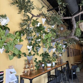 Roots juice and coffee bar - Coffee & Tea Near Me - Sterling Heights, Michigan Roots juice and coffee bar - Coffee & Tea Near Me - Sterling Heights, Michigan