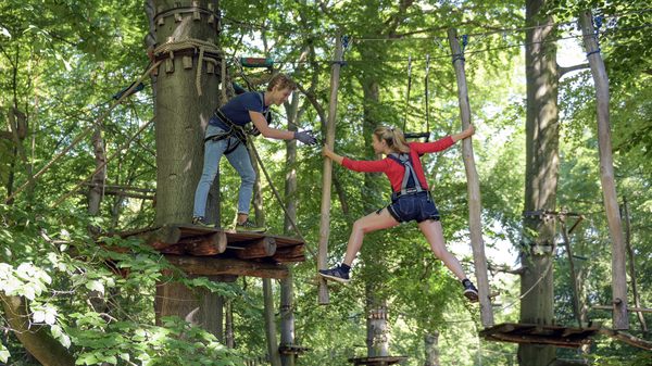 Waldhochseilgarten Jungfernheide by null