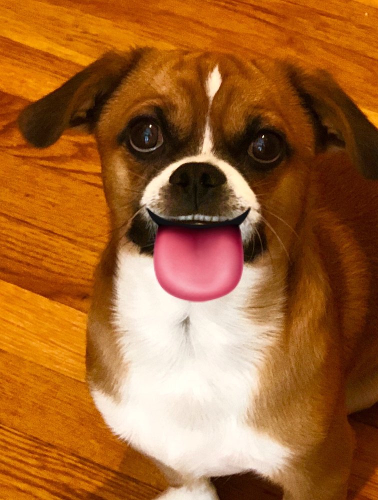 o Jupiter Florida Real Estate For Sale